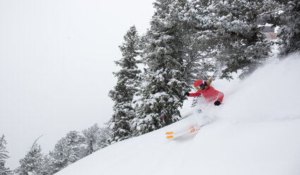 Blick auf eine Frau beim Skifahren in Westward Ho im Alta Ski Area, Utah, USA - AURF06101