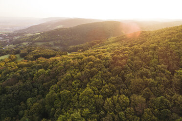 Österreich, Niederösterreich, Wienerwald, Biosphärenpark Wienerwald, Luftaufnahme des Waldes bei Sonnenaufgang - HMEF00004