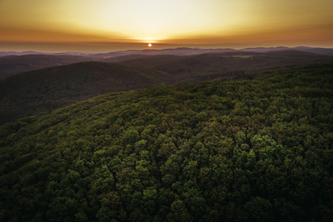 Österreich, Niederösterreich, Wienerwald, Biosphärenpark Wienerwald, Luftaufnahme des Waldes bei Sonnenaufgang, lizenzfreies Stockfoto