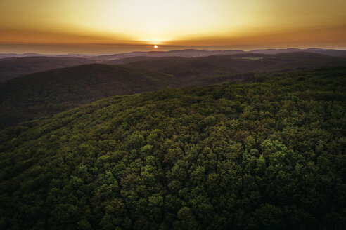 Österreich, Niederösterreich, Wienerwald, Biosphärenpark Wienerwald, Luftaufnahme des Waldes bei Sonnenaufgang - HMEF00006