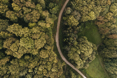 Austria, Lower Austria, Vienna Woods, Biosphere Reserve Vienna Woods, Aerial view of dirt road and forest in the early morning - HMEF00007