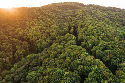 Österreich, Niederösterreich, Wienerwald, Biosphärenpark Wienerwald, Luftaufnahme des Waldes bei Sonnenaufgang, lizenzfreies Stockfoto