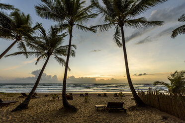 Dawn on tropical beach in Peninsula de Marau, Barra Grande, Bahia state, Brazil - AURF06127