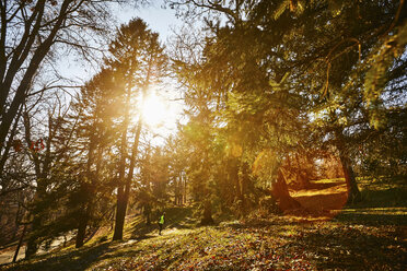 Distant View Of Woman Doing Warm Up Exercise In Arnold Arboretum - AURF06208