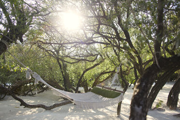 Hammock hanging from tree over beach, Maldives - AURF06330