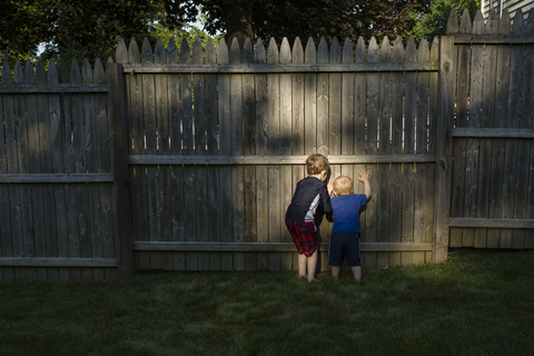 Rückansicht von Brüdern, die beim Spielen im Hinterhof durch den Holzzaun spähen, lizenzfreies Stockfoto