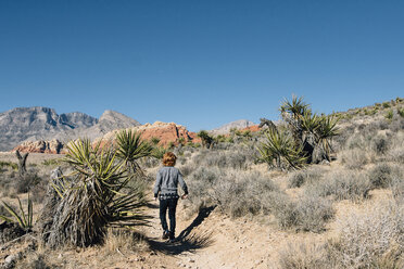 Rear view of boy walking on desert against clear blue sky at Joshua Tree National Park during sunny day - CAVF48817