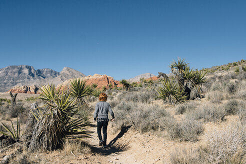 Rückansicht eines Jungen, der durch die Wüste läuft, gegen einen klaren blauen Himmel im Joshua Tree National Park an einem sonnigen Tag - CAVF48817