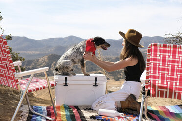 Seitenansicht einer jungen Frau, die mit ihrem Hund auf einer Picknickdecke auf einem Campingplatz vor den Bergen spielt - CAVF48835