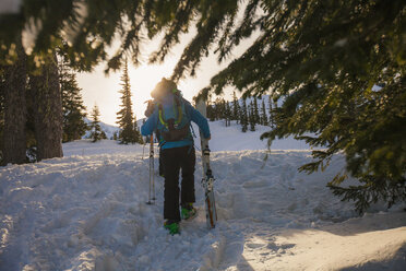 Rear view of male hiker with skies and poles walking in North Cascades National Park during winter - CAVF48878