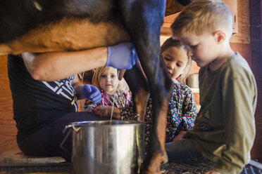 Kinder beobachten den Bauern beim Melken einer Ziege auf dem Bauernhof - CAVF48930