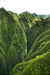 Sacred Falls auf der Ostseite von Oahu, Hawaii, USA - AURF06367