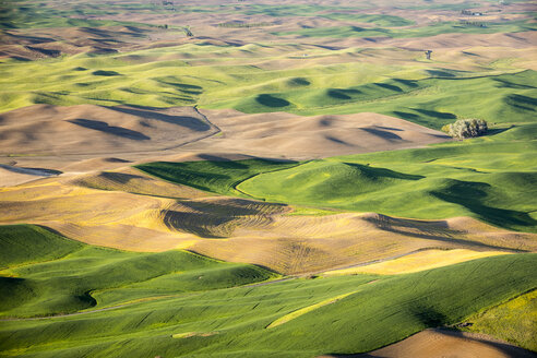 Landschaftliche Aussicht auf sanfte Hügel in der Region Palouse, Garfield, Bundesstaat Washington, USA - AURF06409