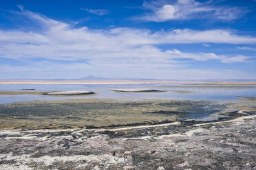 Laguna Chaxa außerhalb von San Pedro de Atacama, Chile - AURF06418