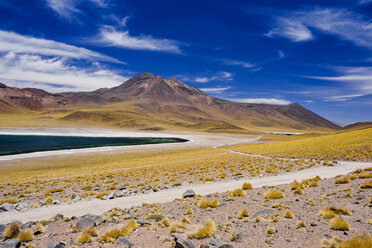 Laguna Miscanti in der Atacamawüste, Chile - AURF06419