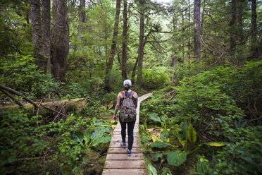 Wandern im Pacific Rim National Park, Vancouver Island, British Columbia - AURF06447