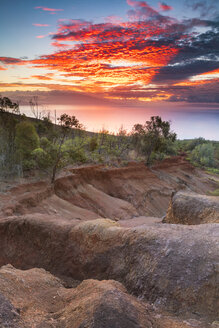 Sonnenaufgang über dem Kanal zwischen Lanai und Maui vom Hales Munro Trail aus gesehen - AURF06474