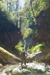 Mann beim Canyoning im Deneau Creek, Hope, British Columbia, Kanada - AURF06575