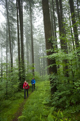 Mann und Frau beim Wandern im Appenzellerland - AURF06595