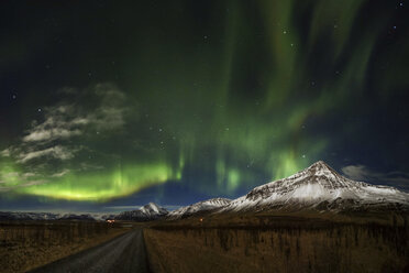 Northern lights in Iceland - AURF06656