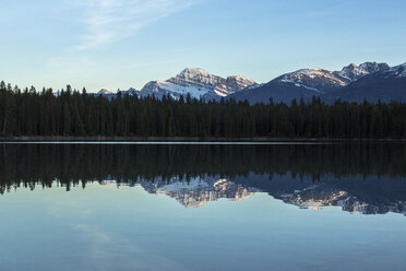 Canadian Rockies reflecting in Annette Lake, Jasper National Park, Alberta, Canada - AURF06727