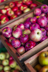 Crates of apples at market, Salt Spring Island, British Columbia, Canada - AURF06746