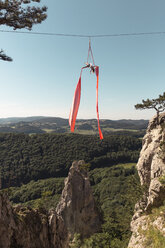 Seidenturnerin in 30 Metern Höhe über einer Waldlandschaft, Niederösterreich, Österreich - AURF06902