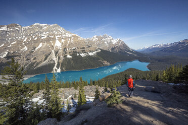 Hiker looking at view of Peyto Lake and Canadian Rockies in Banff National Park, Alberta, Canada - AURF06914