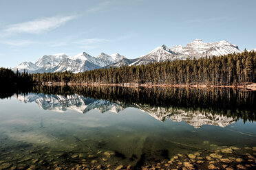 Herbert Lake, Banff National Park, Canada - AURF06922