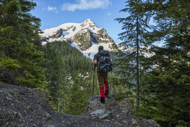 Wanderer in natürlicher Umgebung mit Blick auf den Berggipfel, Mount Olympus, Washington State, USA - AURF06929