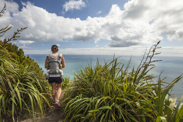 Hiking Mount Maunganui, Bay of Plenty, New Zealand - AURF06947