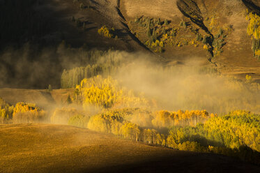 Wald in Herbstfarben am Fuß eines Berges, Crested Butte, Colorado, USA - AURF07008