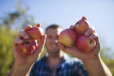 Man holding freshly picked apples - AURF07104
