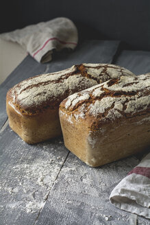 Selbstgebackenes rustikales Roggenbrot - ODF01592