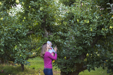 Mutter und Baby pflücken Äpfel im Obstgarten, Parkdale, Oregon, USA - AURF07169