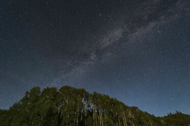 Milky Way over Aspen tree grove, Glenwood Springs, Colorado, USA - AURF07174