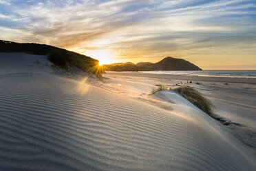 Neuseeland, Südinsel, Puponga, Wharariki Beach, Dünen bei Sonnenuntergang - MKFF00433