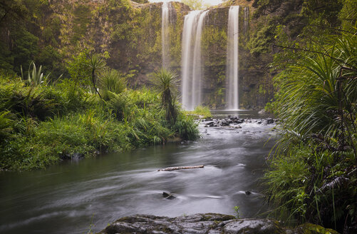 Neuseeland, Nordinsel, Northland, Whangarei Falls - MKFF00437