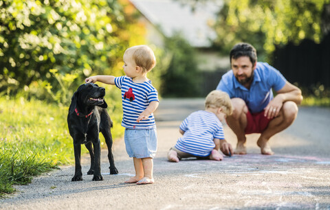 Baby-Mädchen streichelt Hund, während Vater sie aus dem Hintergrund beobachtet, lizenzfreies Stockfoto