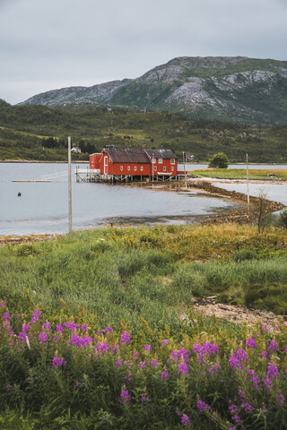 Nordnorwegen, Lappland, Rotes Holzhaus an einem Fjord, lizenzfreies Stockfoto