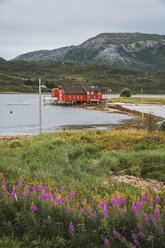 Nordnorwegen, Lappland, Rotes Holzhaus an einem Fjord - KKAF02057