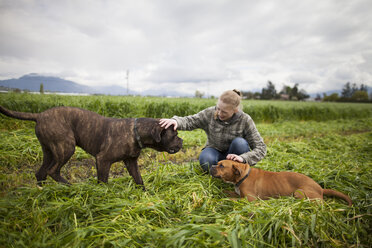 Teenager-Mädchen, das auf einem frisch gemähten Feld kauert und Hunde streichelt, Chilliwack, British Columbia, Kanada - AURF07317