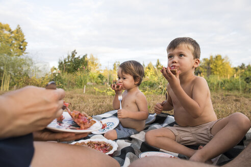 Zwei Jungen schlemmen bei einem Familienpicknick hausgemachten Kuchen, Langley, British Columbia, Kanada - AURF07319