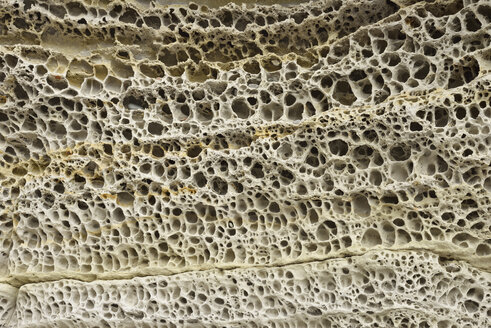 Patterns of honeycomb weathering, close-up, typical on calcareous sandstones - RUEF02003
