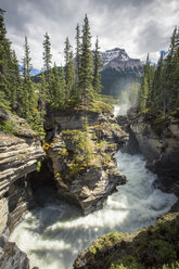 Landschaft der Athabasca-Wasserfälle, Jasper National Park, Alberta, Kanada - AURF07536