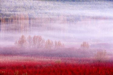 Waldlandschaft hinter Nebel im Naturpark Serrania de Cuenca, Canamares, Castilla la Mancha, Spanien - AURF07547