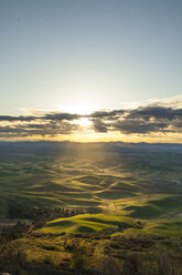 Szenerie mit sanften Hügeln bei Sonnenaufgang, Steptoe Butte State Park, Palouse, Washington State, USA - AURF07557
