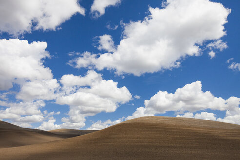 Landschaft mit braunen sanften Hügeln unter blauem Himmel mit Wolken, Palouse, Washington State, USA - AURF07559