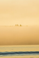 Landschaft mit Nebel über der Pachena Bay, West Coast Trail, Pacific Rim National Park, Vancouver Island, British Columbia, Kanada - AURF07563