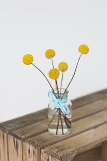 Gelbe Blütenköpfe in Vase - JUNF01300